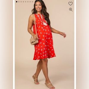 Pinkblush Maternity Dress - Red Floral